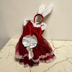 3点セット・要写真確認】サンタ・セーラー服 網タイツ コスプレセット バニーの画像