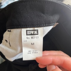 EDWINパンツの画像