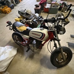 エイプ50の画像