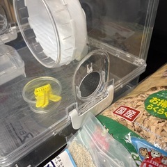 ハムスターケージおまけ付きの画像