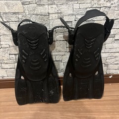 フィン　足ヒレの画像