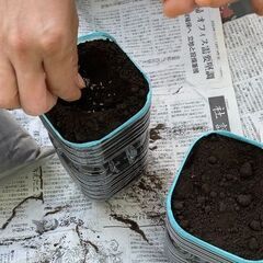 【渋谷イフ】【ベランダ菜園とペットボトルベジの体験会】　6/20(土)   11:00-  ベランダで無農薬、無肥料栽培で野菜を作る、種まき体験会。自然栽培で自給自足の画像