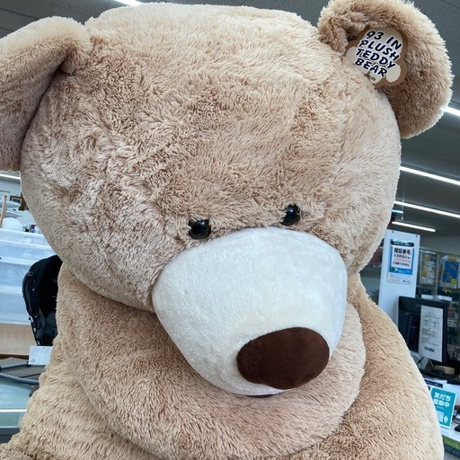 【ジモティー割引で最大15％OFF⭐️】くま ぬいぐるみ BIG 特大　