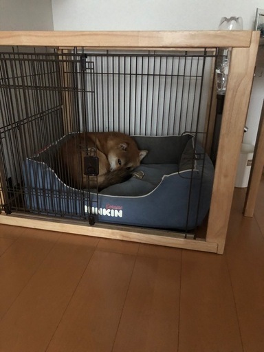 Richell犬用木製ゲート・フェンス