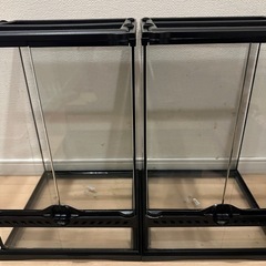 福岡県の爬虫類ケージの中古が安い！激安で譲ります・無料であげます 