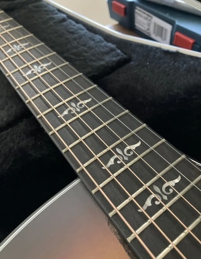 Taylor Guitars テイラー　ギター　314ce ES2