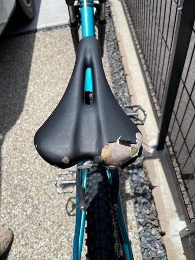 GIANT SNAP MTBサテンブルー 26インチ マウンテンバイク (L sun) 土橋