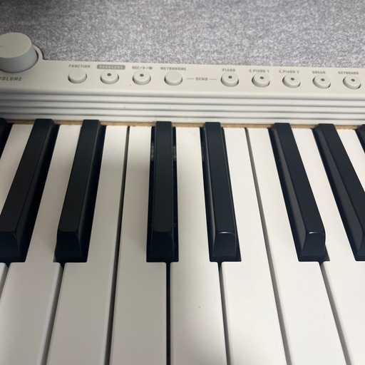 Casio  キーボードCT-S1