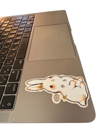 【美品】MacBook Air 256GB 13inch  初期化済み