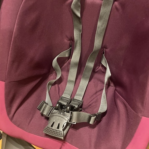 Stokke Xplory Stroller, Purple Stokke Xplory ベビーカー 本体 パープル