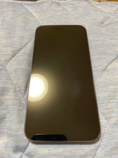 iPhone 14 Pro Max 1TB 
6月21日迄