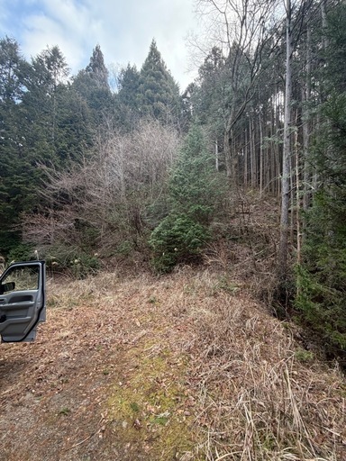 山林　