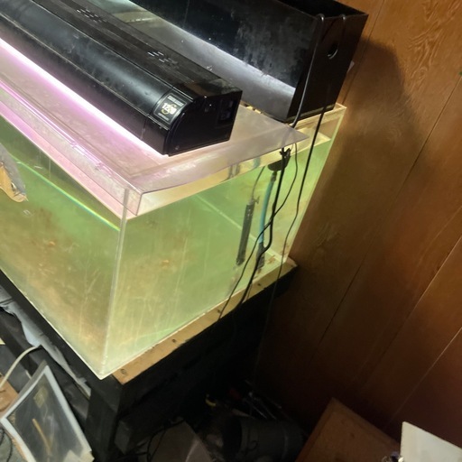 アクリル水槽1200-600-600アロワナ付き引き取り限定
