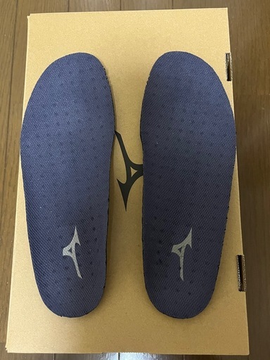 【ほぼ新品】MIZUNO OD100 GTX 8 ウォーキングシューズ 23.0