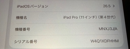 iPad Pro11  
