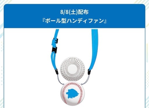 残りわずか★カード決済OK★コード通知★埼玉西武ライオンズ 2026 内野指定席引換券 10枚 株主優待