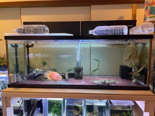 120cm水槽