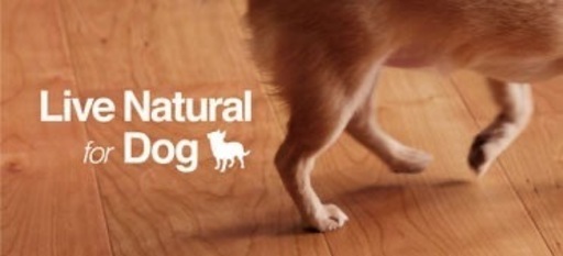 【未使用】値段交渉OK!最高級床材 朝日ウッドテック ライブナチュラルプレミアム for Dog オーク PMB2KJ05S フローリ