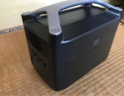 エコフローリバープロ定格600W