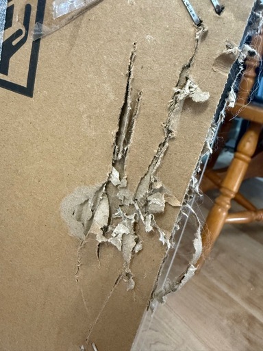 取引中［未開封品］サンルック　小型冷凍庫