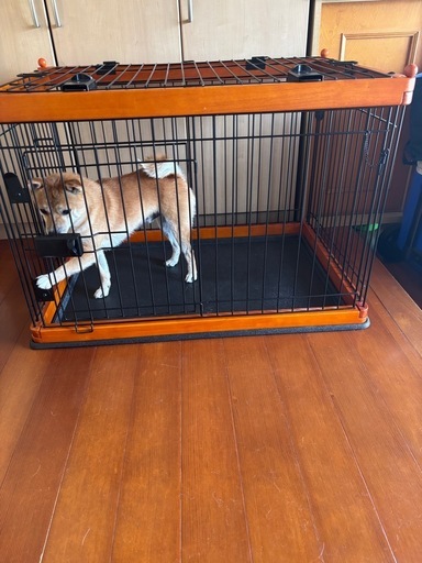 ペットケージ　サークル　犬　木製　ドッグ