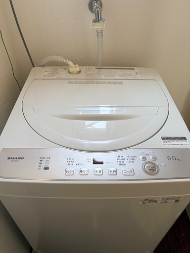 SHARP 自動洗濯機 2024年製 6kg 