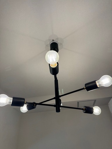 ペンダントライト照明（LED電球付き）(今週末まで)