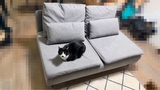IKEA ソーデルハムン
