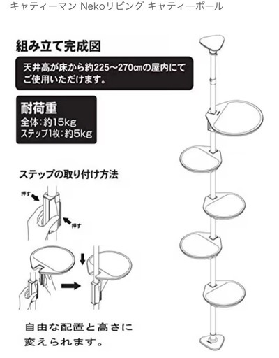 キャットステップ、SKYウォーク