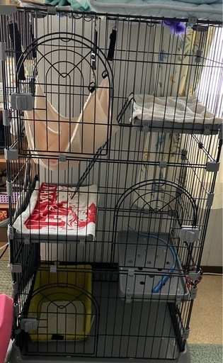 猫ケージ