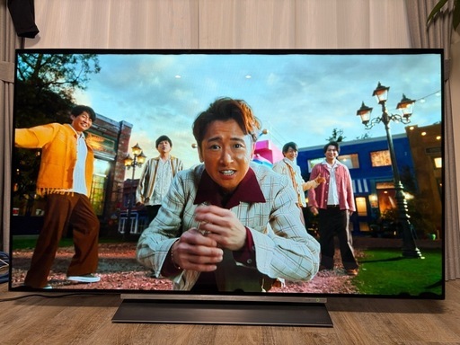 TOSHIBA REGZA 55X830 有機ELテレビ 55インチ