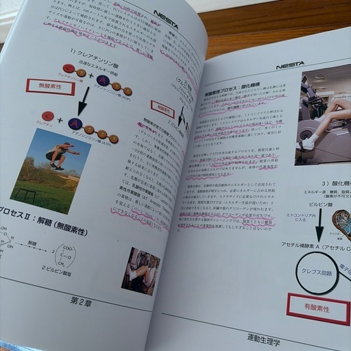パーソナルフィットネストレーナー　本