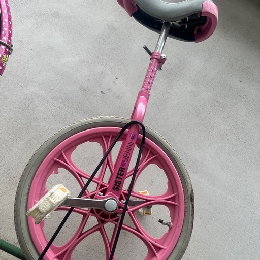 sister Jenny  自転車　一輪車