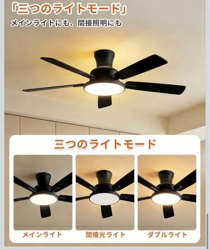シーリングライト