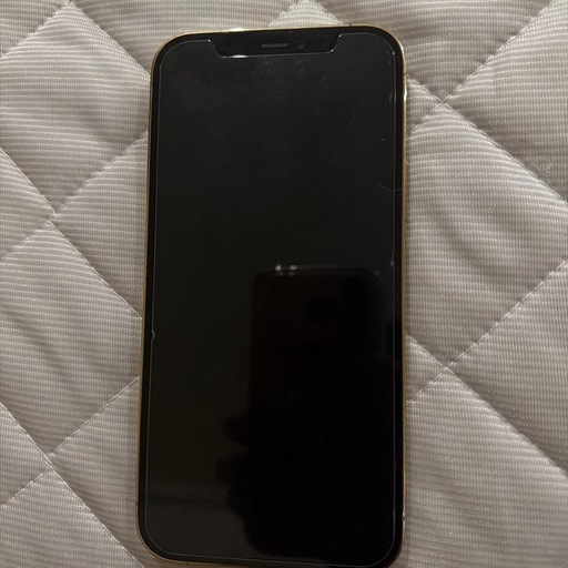 iPhone12pro 256gb