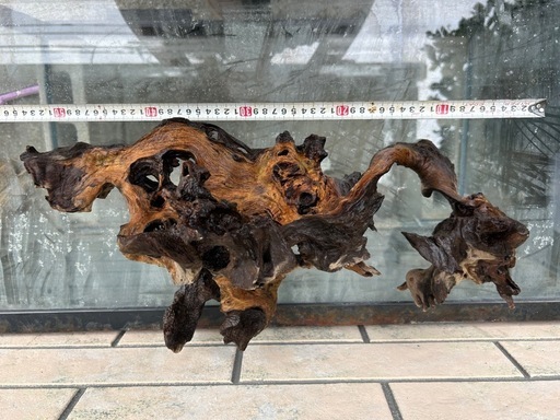 流木