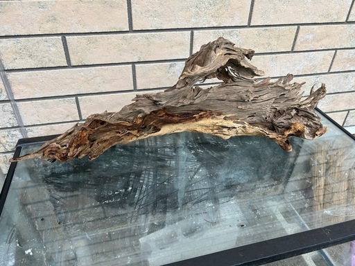 流木