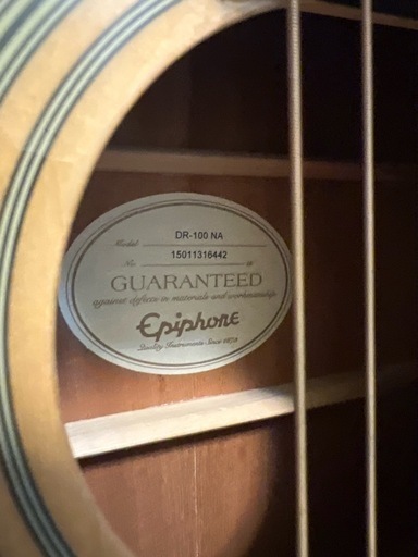Epiphone DR-100