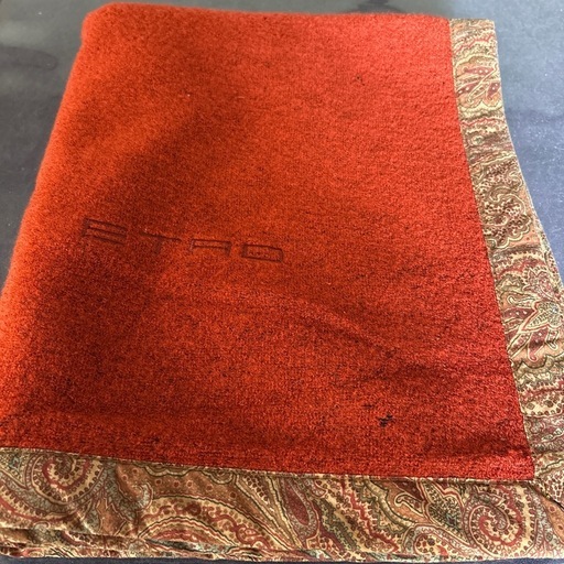 ETRO】エトロウォッシャブル ウールスローケット 120x70cm (lemo) 桶川