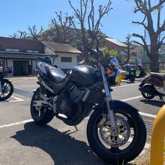 値下げ‼️ホーネット250  車体cbxテールの画像