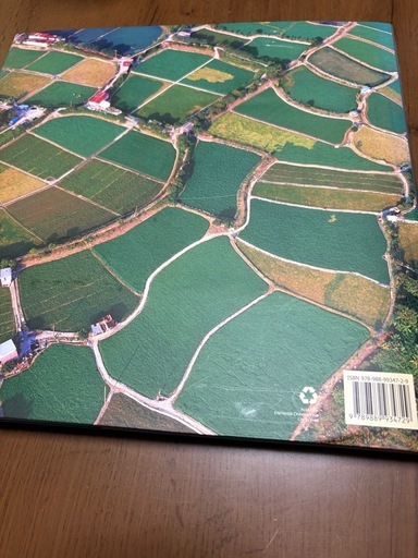 OVER HONG KONG Volume8