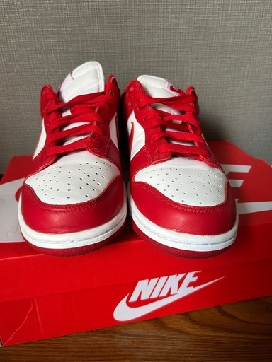 純正未使用級 NIKE DUNK LOW SP 