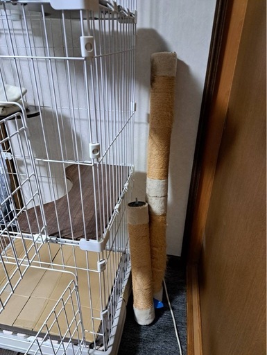 キャットケージ (プロフ読んで下さい) 運動公園の家具の中古あげます