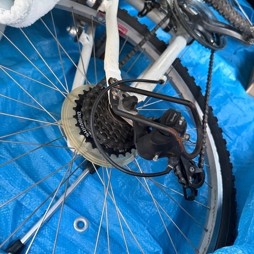 お話中です。　　ルイガノキッズ自転車　　　　　　