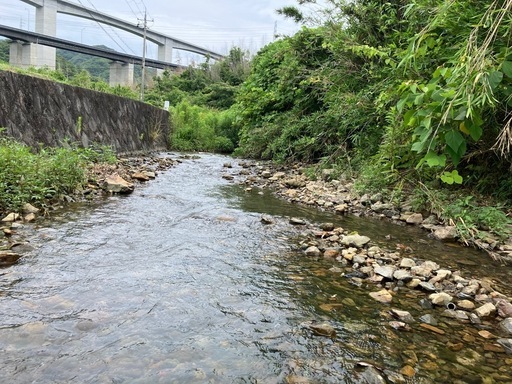 ため池の水で育てた　令和７年産 きぬむすめ　和歌山県産　玄米30㎏　農家直送　低温貯蔵庫保管　