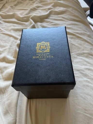 【非売品・箱付き】東京ディズニーシー ホテルミラコスタ 地球儀オブジェ