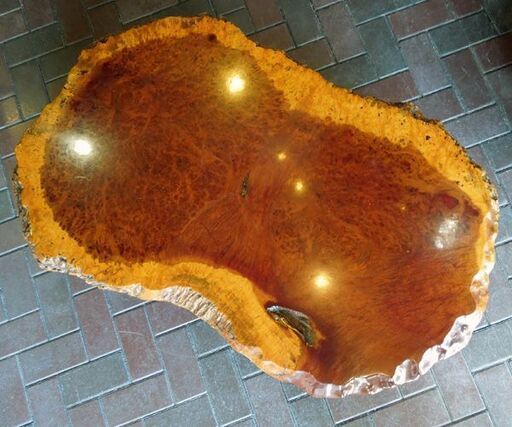 こぶ 座卓 テーブル 幅約120cm 高さ約33.5cm 木瘤 コブ 天然木 一枚板 ローテーブル 床の間 和室 札幌市 新道東店