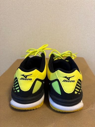 ◇ミズノ MIZUNO テニス オムニ/クレー用シューズ ウエーブエクシード