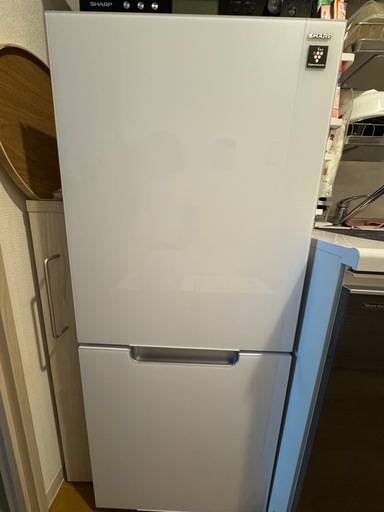 シャープ SHARP 冷蔵庫 （152L・幅49.5cm・左右開き（付け替え）・2ドア・クリアホワイト） PLAINLY つけかえどっ