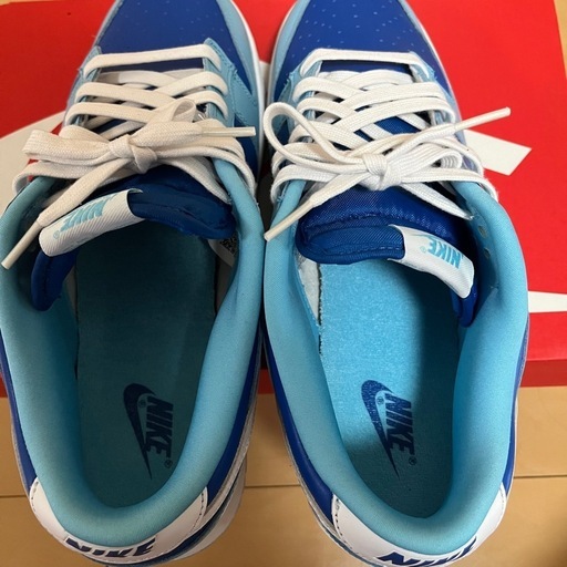 【美中古】 Nike Dunk Low Retro QS Argon 29cm